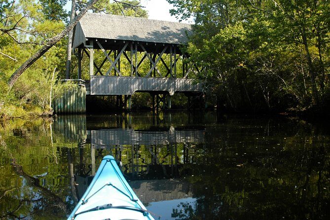 Kitty Hawk Maritime Forest Kayak Tour - What is the Kitty Hawk Maritime Forest Kayak Tour?