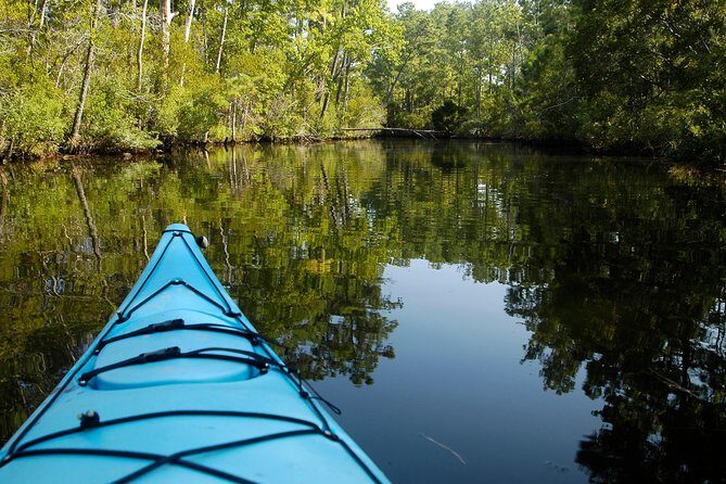 Kitty Hawk Maritime Forest Kayak Tour - What Youll See and Experience