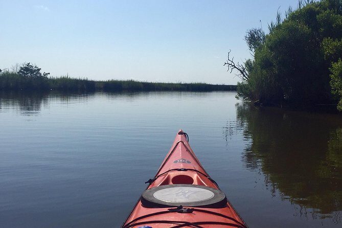 Kitty Hawk Maritime Forest Kayak Tour - Final Thoughts