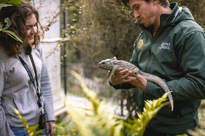 Kiwi Park Queenstown Admission - The Practical Aspects