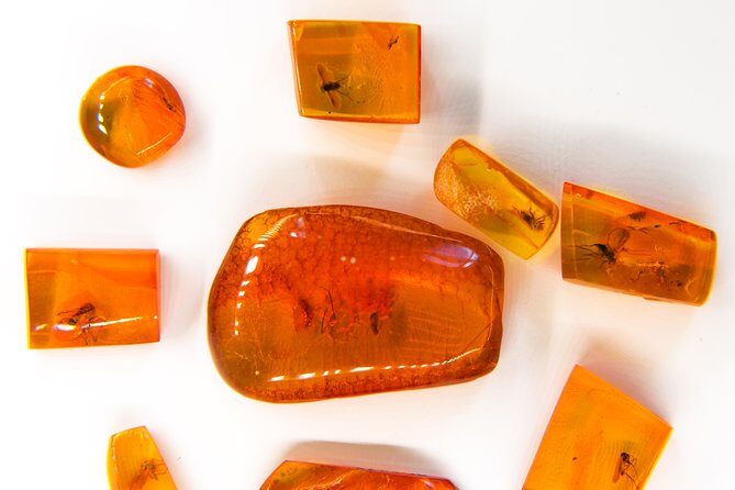 Klaipeda Private Walking Tour - Final Thoughts: Who Will Love This Tour?