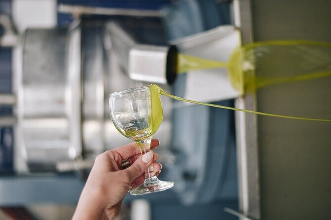 Kleanthi Olive Farm: Guided Tour with Local Delicacies Tasting - Frequently Asked Questions