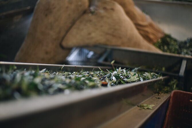 Kleanthi Olive Farm: Guided Tour with Local Delicacies Tasting - Final Thoughts