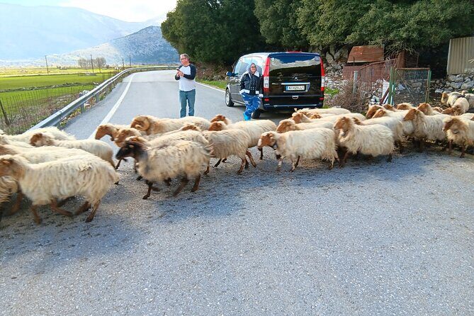 Knossos & Lasithi Plateau: Villages, Olive Oil Tour From Elounda - A Full Day of Crete’s Best Sights and Flavors