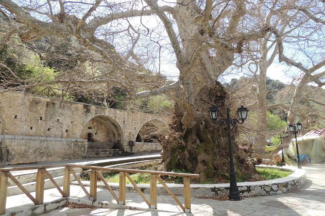 Knossos & Lasithi Plateau: Zeus Cave,Villages, Olive Oil Tour - Krasi plane tree café break: short, sweet, and photogenic
