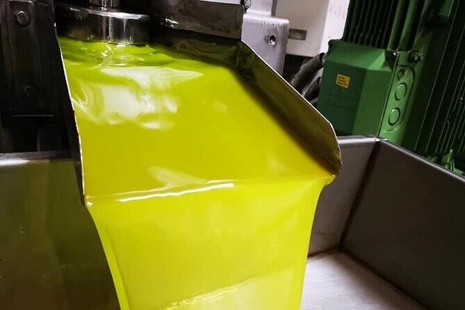 Knossos, Olive Grove, Winery - Distillery with Tastings & Lunch - Key Points