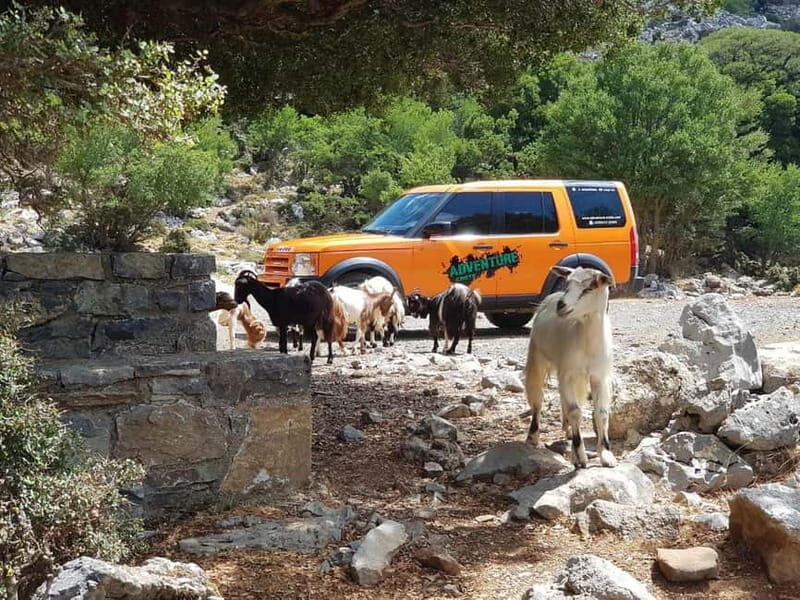 Knossos Palace and Pottery experience. Excursion Safari - Who This Tour is Best For