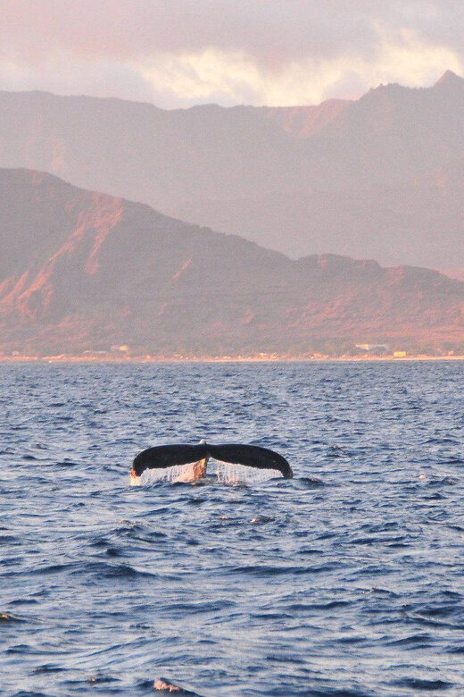 Ko Olina Captain's Sunset + Tasting - What to Expect During the Cruise