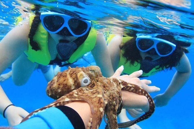 Ko Olina Catamaran Sail and Snorkel - Why Travelers Keep Coming Back