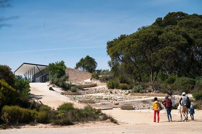 Koala Walking Tour in Kangaroo Island - An In-Depth Look at the Kangaroo Island Koala Walking Tour