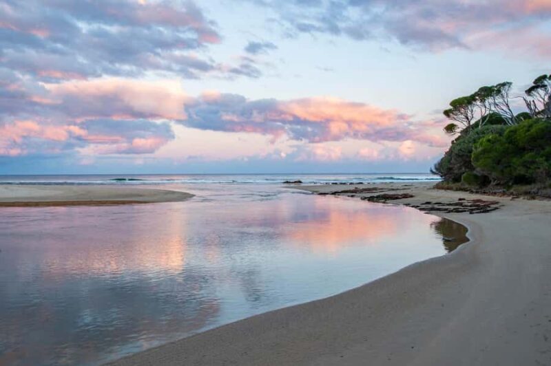 Koalas, Kangaroos and Lyrebirds - An In-Depth Look at the Experience