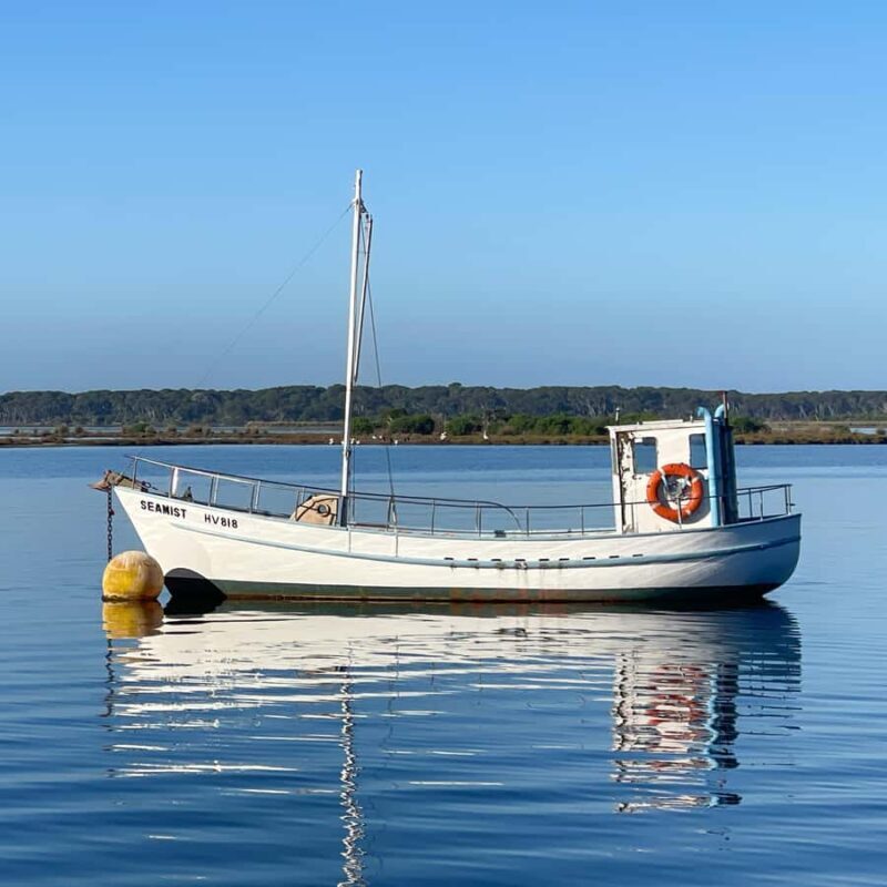 Koalas, Kangaroos and Lyrebirds - Who Is This Tour Best For?