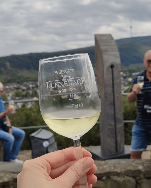 Koblenz: The Living Vineyard, Nature & Wine Enjoyment - An In-Depth Look at the Experience