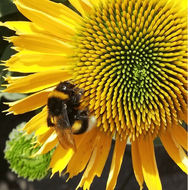 Koblenz: The Living Vineyard, Nature & Wine Enjoyment - The Sum Up — Who Is This Tour Best For?