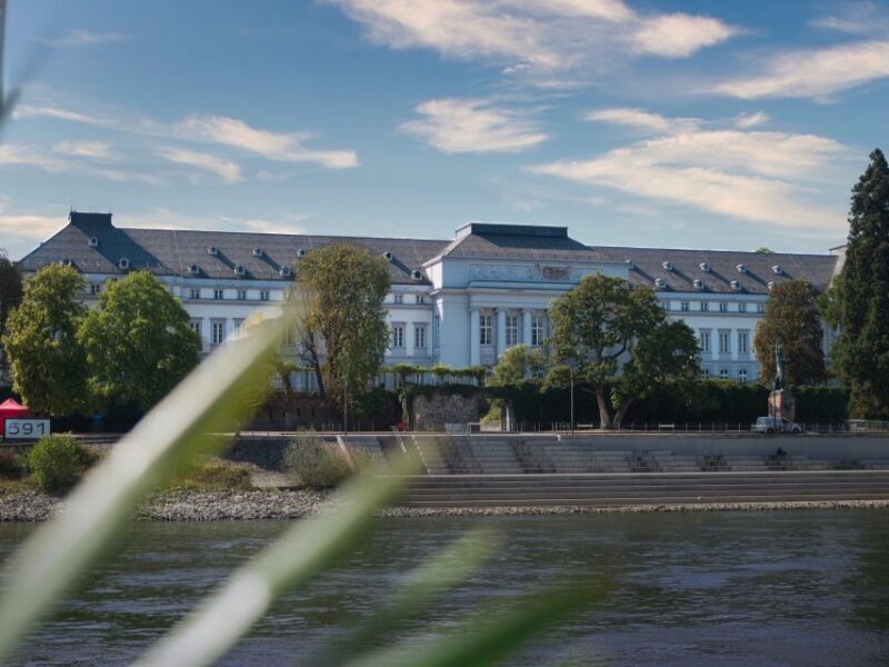 Koblenz:Rhine Valley boat tour along the castles and palaces - Who Should Consider This Tour?