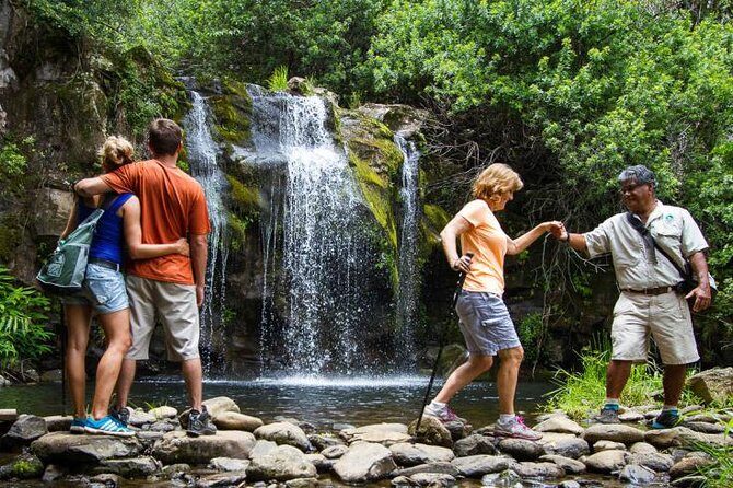 Kohala Waterfalls Small Group Adventure Tour - Who Will Love This Tour?