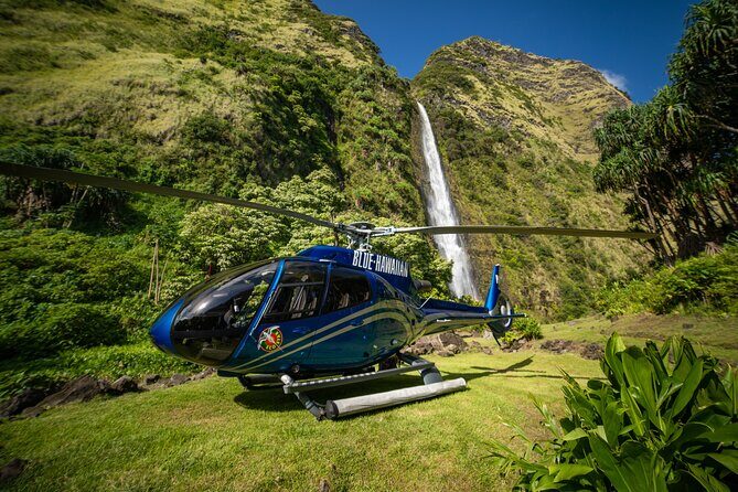 Kohala Waterfalls with Exclusive Landing Helicopter Tour - The Experience on the Ground and in the Air