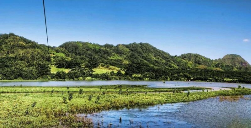 Koloa: Kauais Longest 8-Line Zipline Tour - Things to Keep in Mind