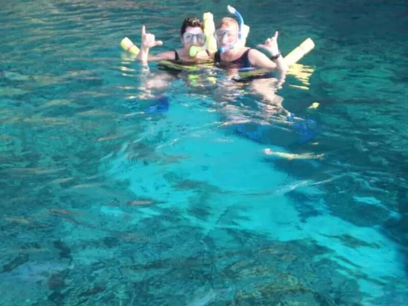 Kona: Captain Cook Snorkel Tour - The Experience in Action: What Travelers Say