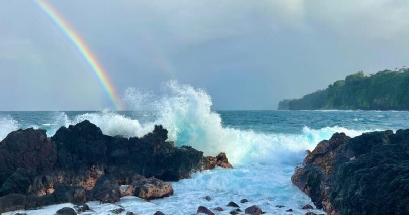 Kona: Choose Your Own Adventure - Price and Value