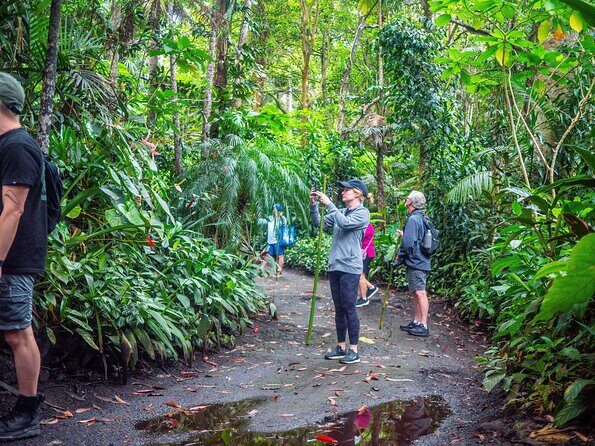 Kona Cloud Forest Sanctuary Pantropical Tour (1.5 hrs) - An In-Depth Look at the Tour Experience