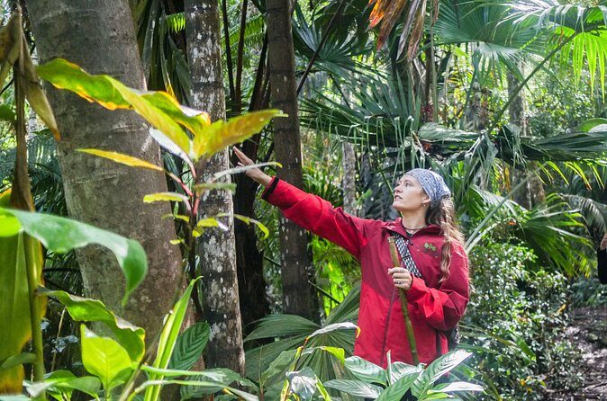 Kona Cloud Forest Sanctuary Pantropical Tour (1.5 hrs) - Who Should Book This Tour?