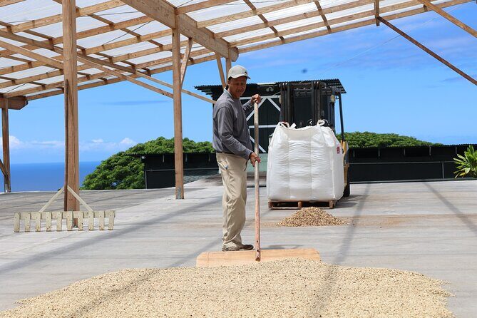 Kona Coffee Farm Tour from Tree to Tasting Room - The Starting Point at Bay View Farm