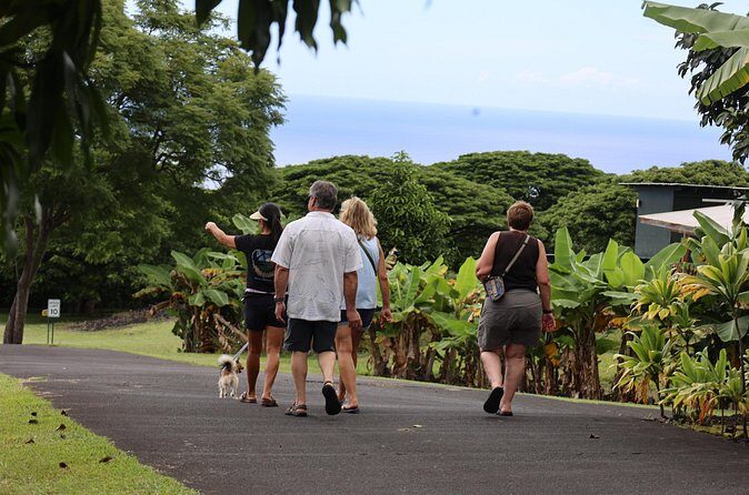 Kona Coffee Farm Tour from Tree to Tasting Room - Practical Details & Tips
