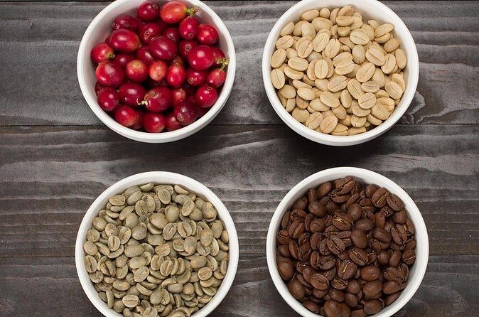 Kona Coffee Roasting Experience - What the Reviews Say (Even Though There Are No Published Reviews Yet)