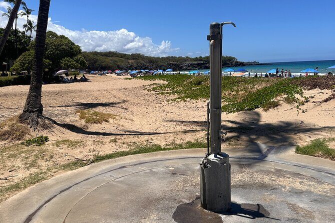 Kona Cruise Ship Excursion Hapuna Beach Day, Petroglyphs & NHS - Summary