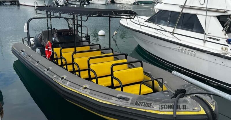 Kona Hi, Sunset Manta Ray Tour 10 passengers maximum - What to Expect from the Kona Hi Sunset Manta Ray Tour