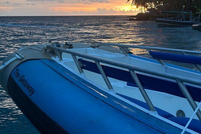 Kona Manta Night Snorkel Adventure: Swim with Majestic Rays - The Experience: What You Can Expect