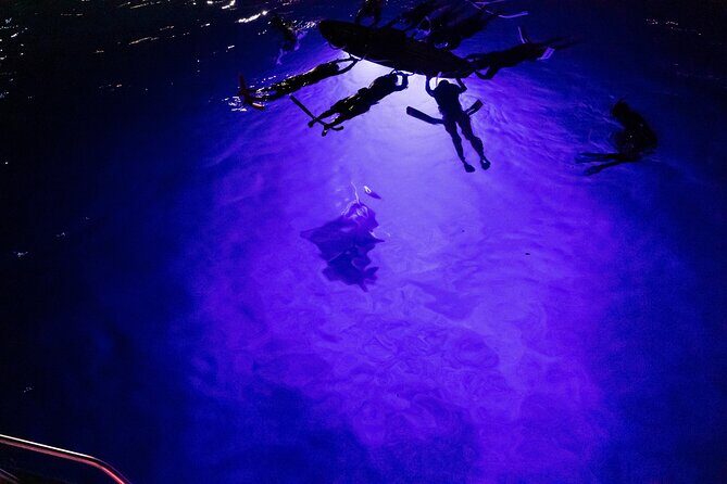 Kona Night Manta Snorkel Tour - The Experience in Detail