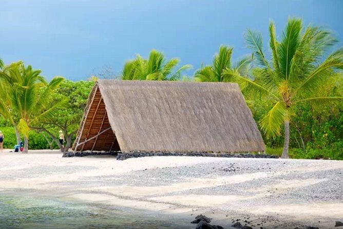 Kona Shore Excursion: Sea Turtles, Historic Kona & Coffee - Practical Tips for the Tour