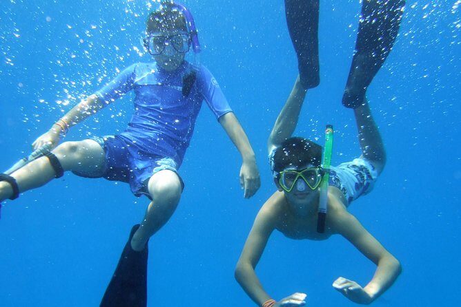 Kona Shore Excursion: Wild Dolphin Reefs Snorkel and Sea Caves - Who Might Not Be the Best Fit?