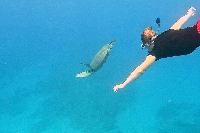 Kona Snorkeling Adventure Open Charter - An Honest Look at the Value