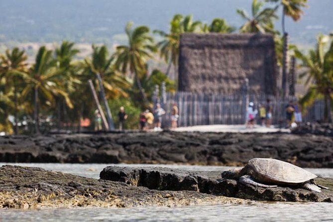 Kona Tour: Bee Farm, Kona Coffee, and National Historical Parks - Who Is This Tour Best For?