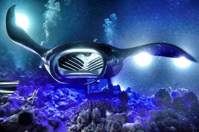 Kona Town Manta Sunset Snorkel - Key Points