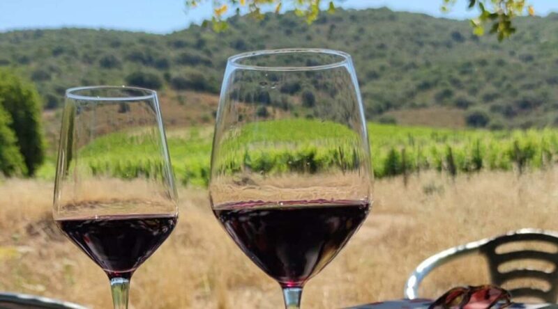 Konavle Private Countryside Experience with Wine & Spirits - Who Will Love This Experience?