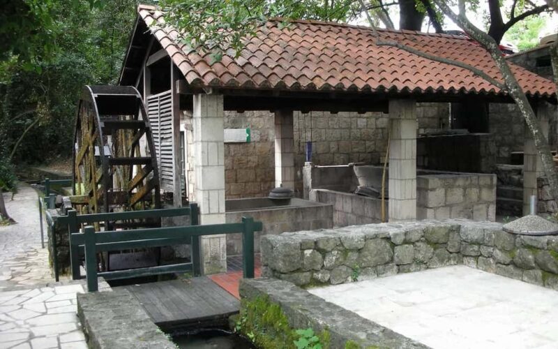 Konavle Valley and Falcon Fortress Half Day Tour with Lunch - Who Is This Tour Best For?