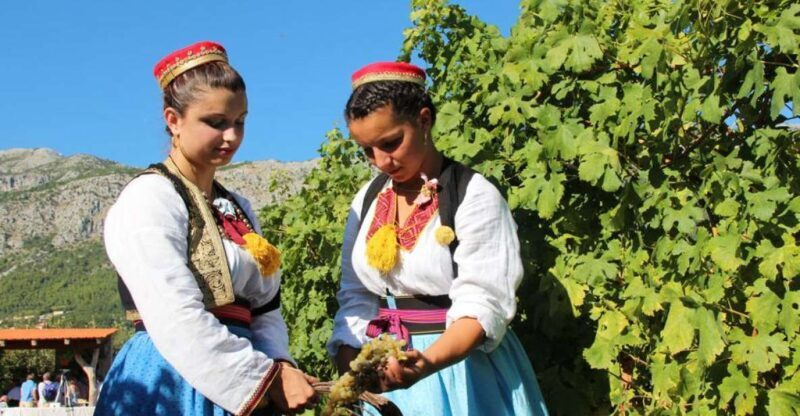 Konavle Valley: Private Half-Day Tour with Wine Tasting - The Itinerary: What You Can Expect