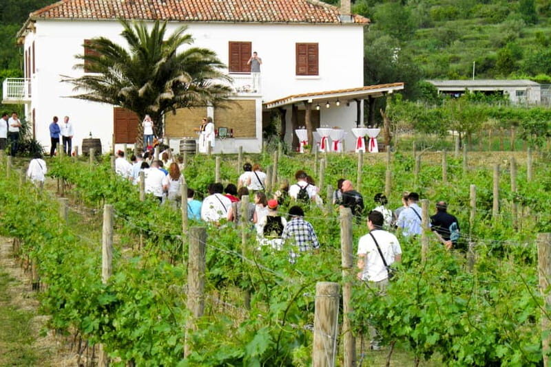 Konavle Valley: Tour with Wine Tasting from Dubrovnik - Key Points