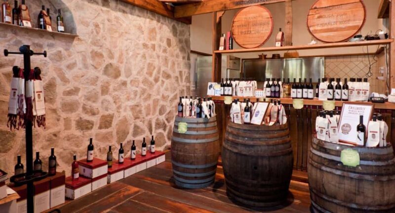 Konavle Valley: Wine tasting at Dubrovnik Cellars - Who Will Love This Tour?