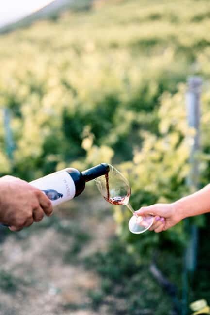 Konavle Valley: Wine tasting at Dubrovnik Cellars - Final Thoughts