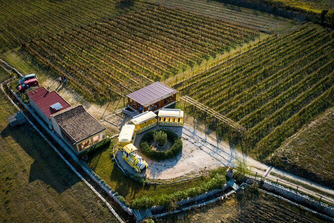 Konavle Valley Wine Tour from Dubrovnik with Train Ride and Wine Tasting - What You Can Expect from This Tour