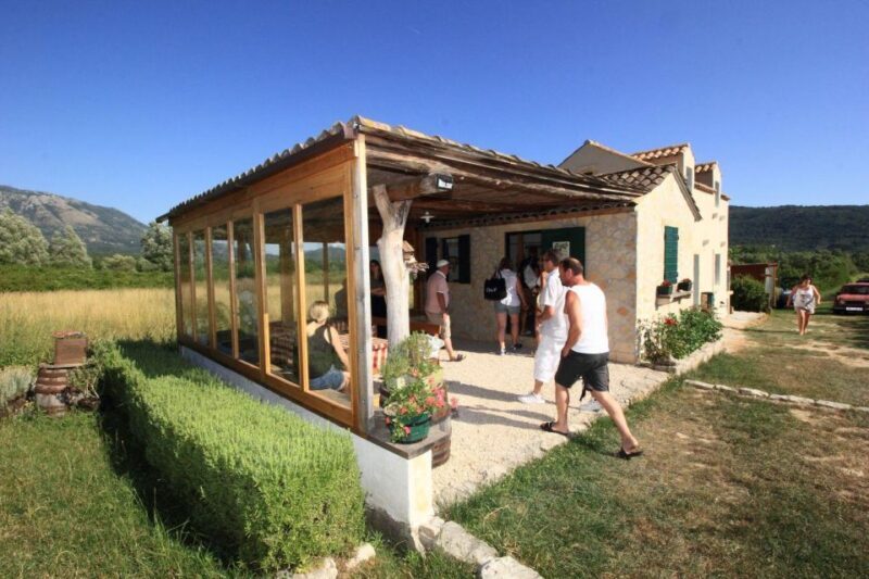 Konavle wine tasting tour from Dubrovnik with 2 vinery's - Is This Tour Right for You?