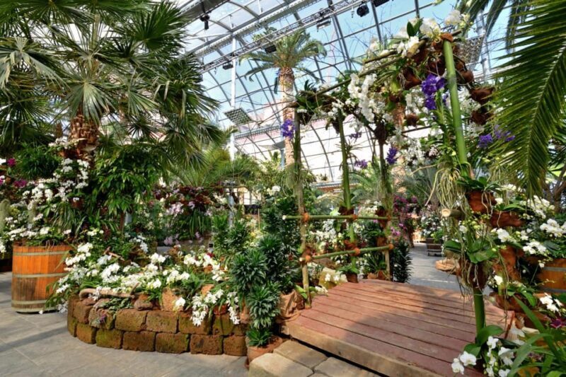 Konstanz: Mainau Island Entry Ticket - Final Thoughts