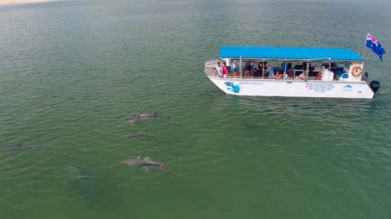 Koombana Bay: Dolphin Eco Cruise - FAQ
