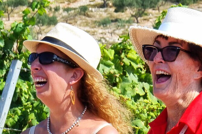 Korcula Atraction Buggy Safari Tour Adventures on Korcula Island - In The Sum Up