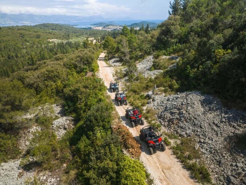 Korcula Buggy Safari With Wine Tasting - Key Points